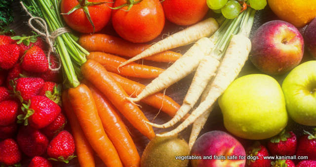 vegetables and fruits safe for dogs