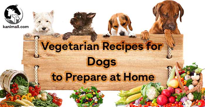 Vegetarian Recipes for Dogs to Prepare at Home