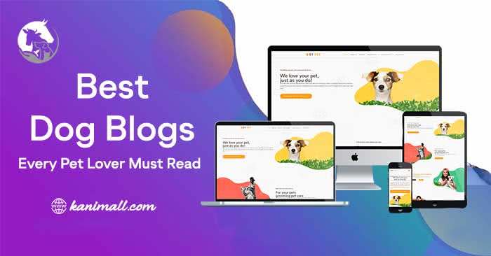 5 Best Dog Blogs Every Pet Lover Must Read in 2020