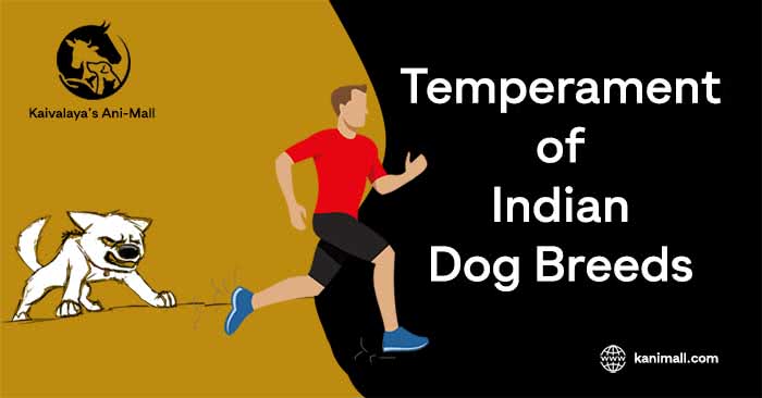 Temperament of Indian Dog Breeds