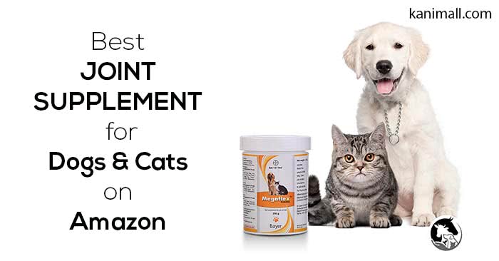 Best Joint Supplement for Dogs and Cats on Amazon